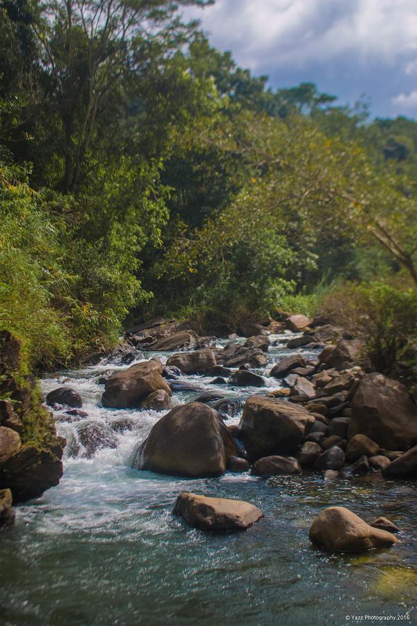 Jungle River Ginigathena Buitenkant foto