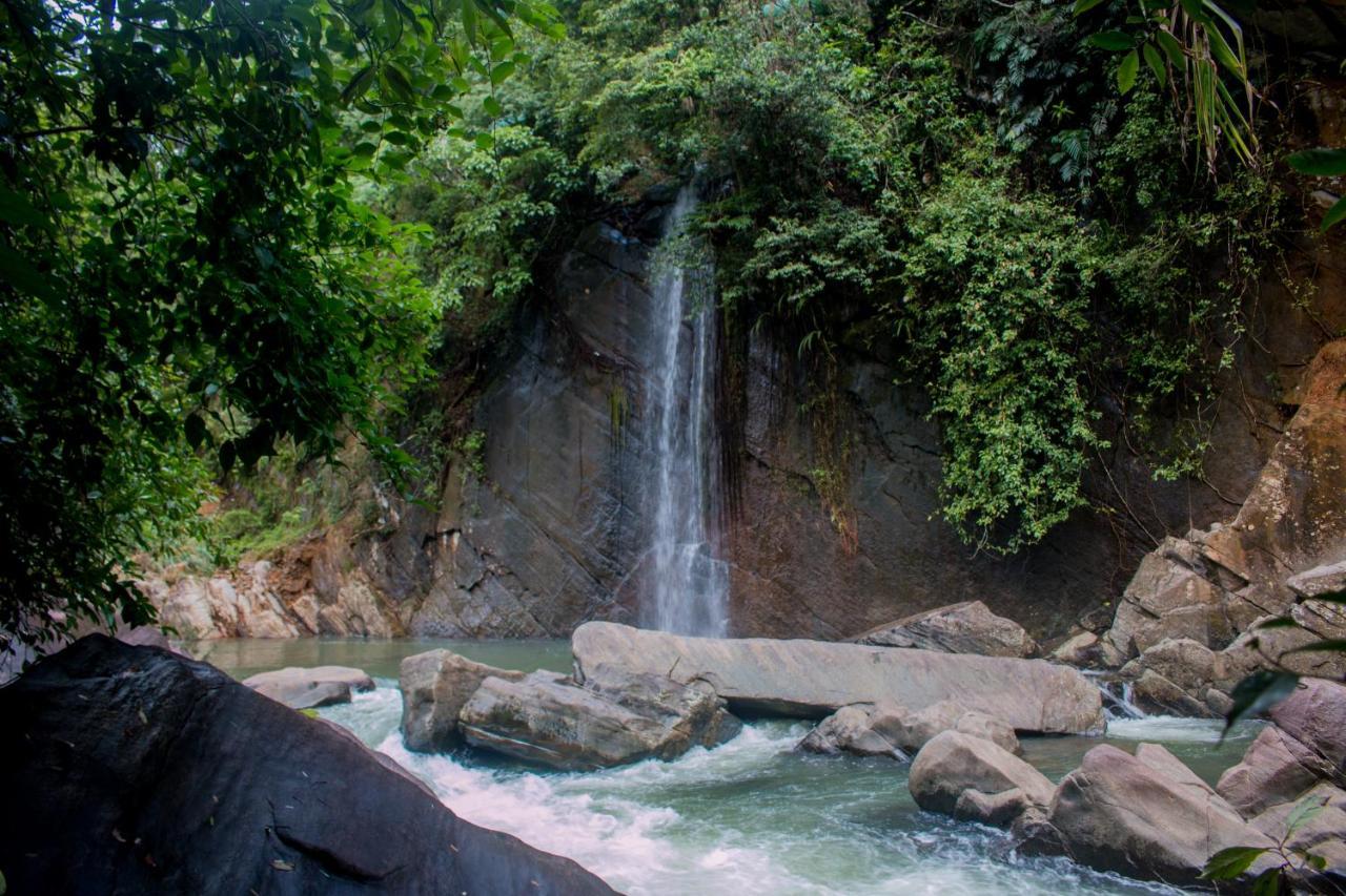 Jungle River Ginigathena Buitenkant foto