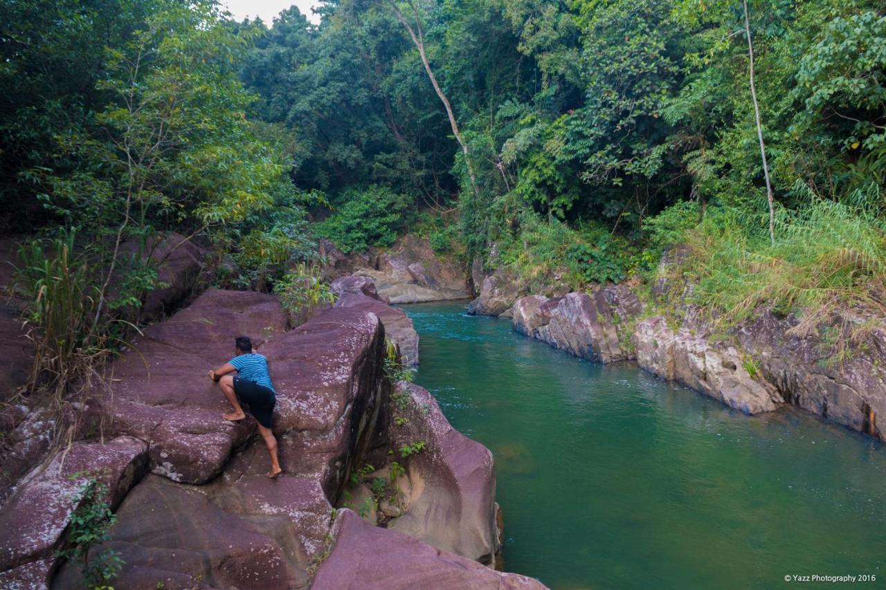 Jungle River Ginigathena Buitenkant foto