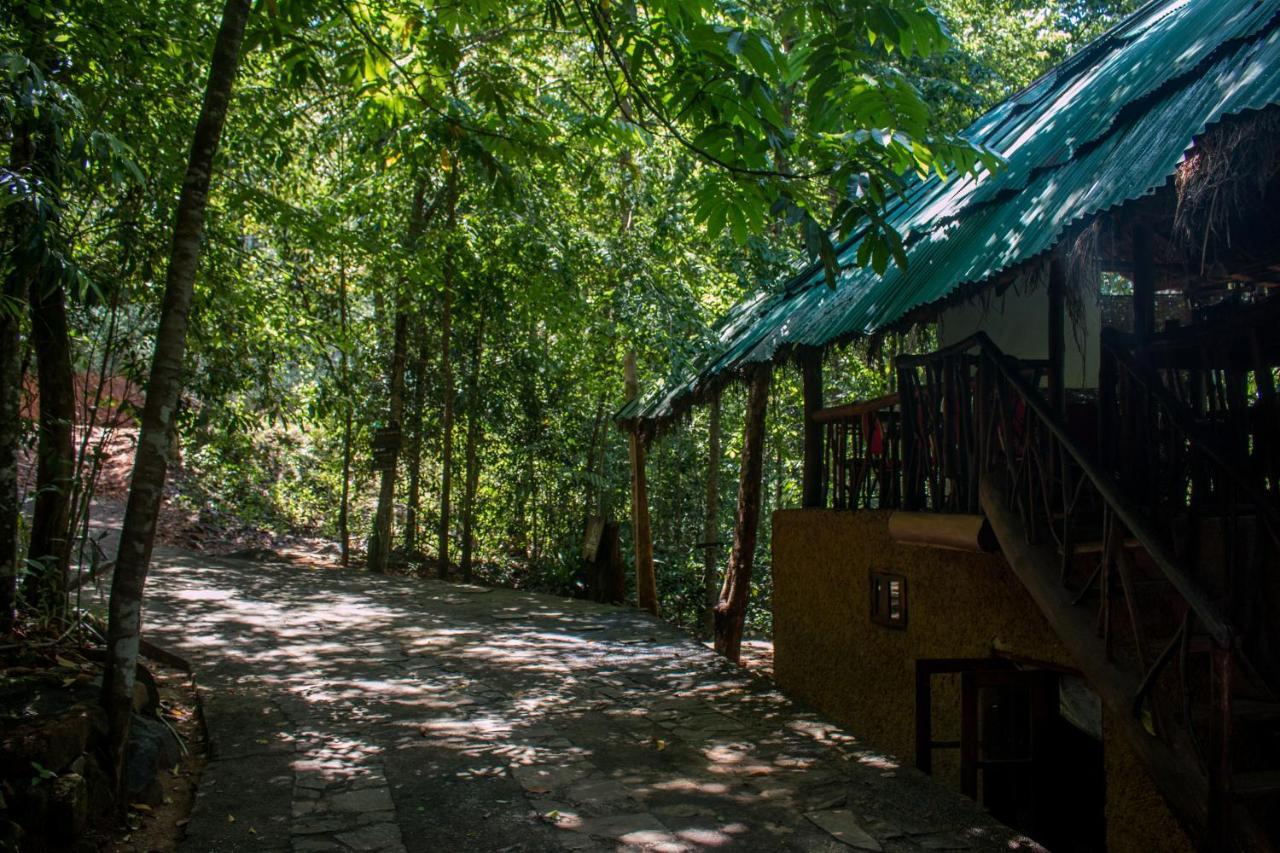 Jungle River Ginigathena Buitenkant foto